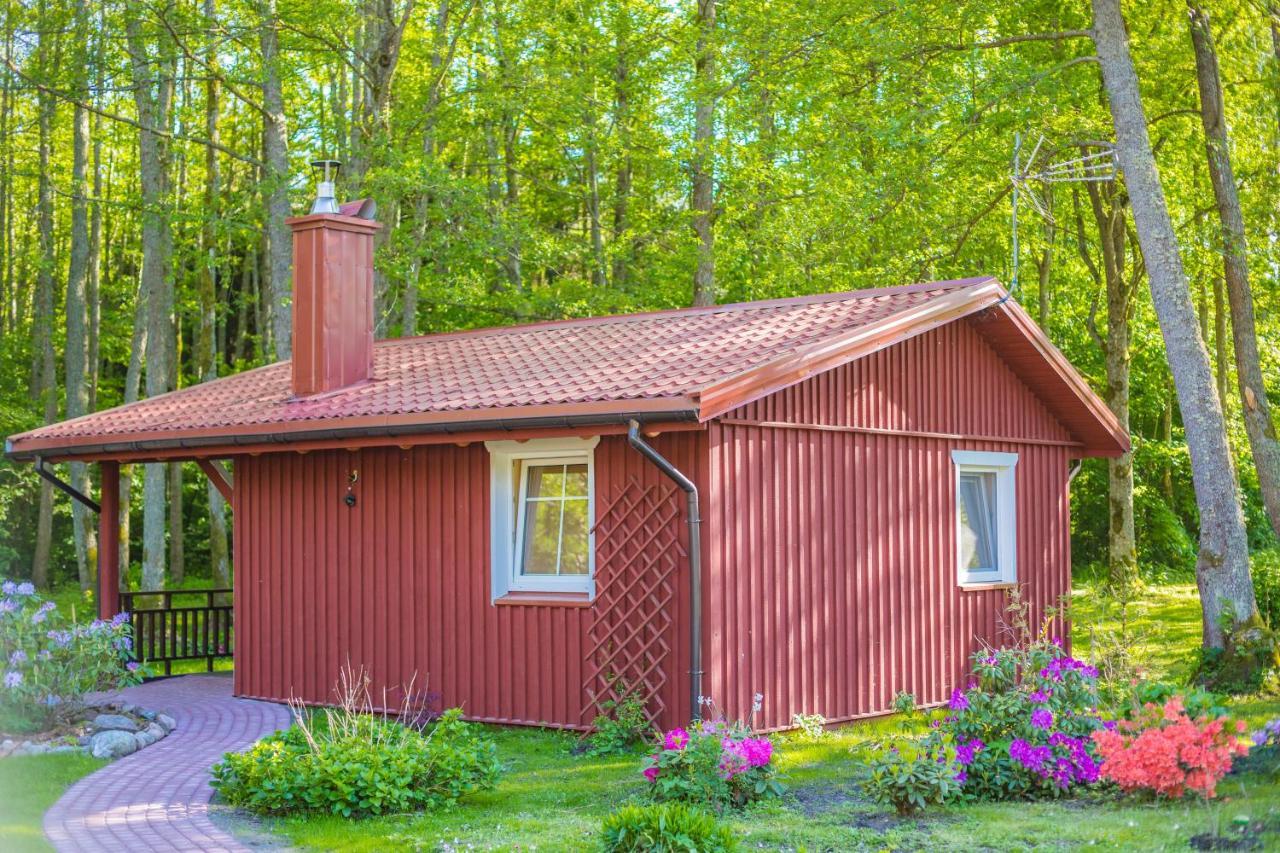 Namelis Nr 1 Adeles Sodyba Sturmai Exterior foto