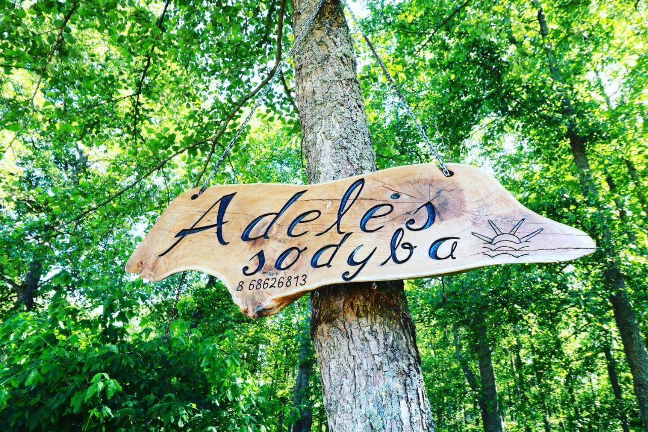 Namelis Nr 1 Adeles Sodyba Sturmai Exterior foto